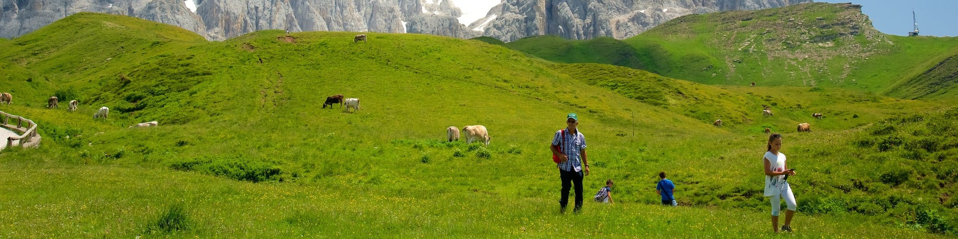 Passo Rolle showing land animals and mountains as well as a small group of people