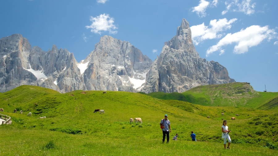 Passo Rolle featuring land animals and mountains as well as a small group of people