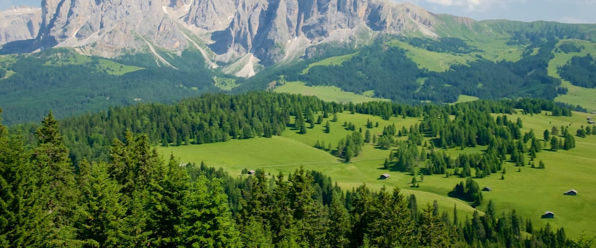 Alpe di Siusi featuring landscape views, tranquil scenes and mountains
