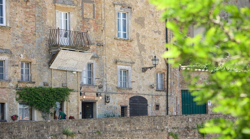 Roman Theatre showing heritage architecture