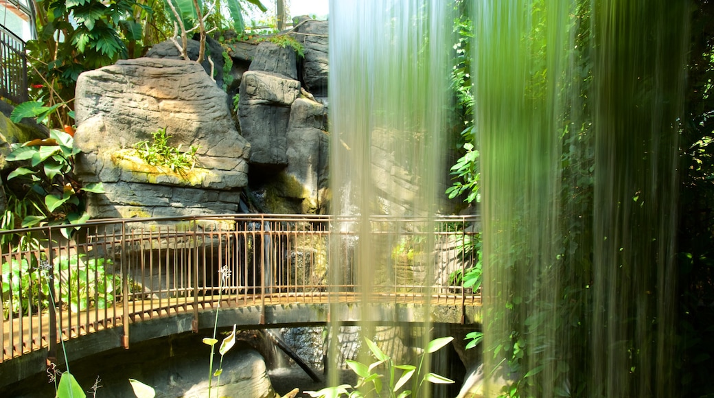 Museo Tridentino di Scienze Naturali featuring modern architecture and a waterfall