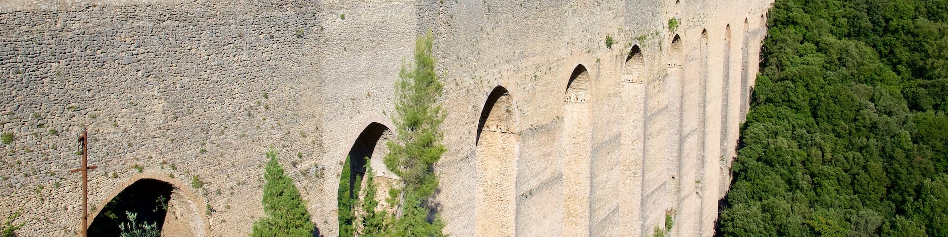 Tower\'s Bridge which includes a bridge and forest scenes