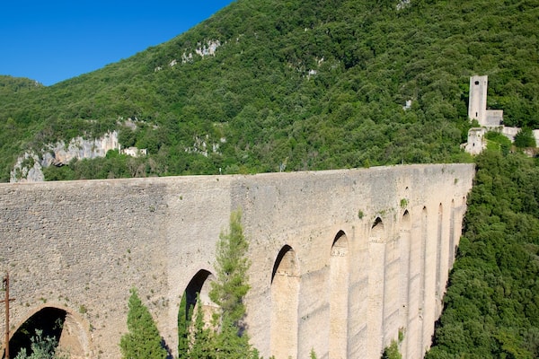 Tower\'s Bridge which includes a bridge and forests