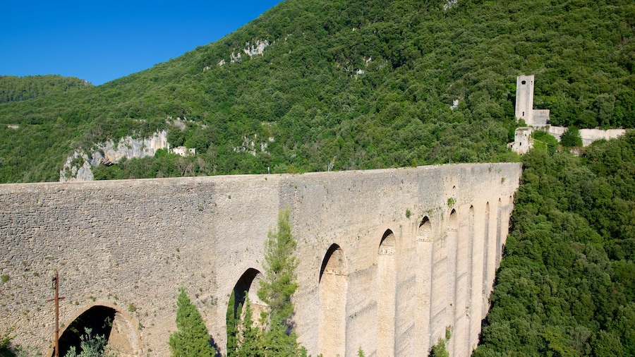 Ponte delle Torre ofreciendo un puente y bosques