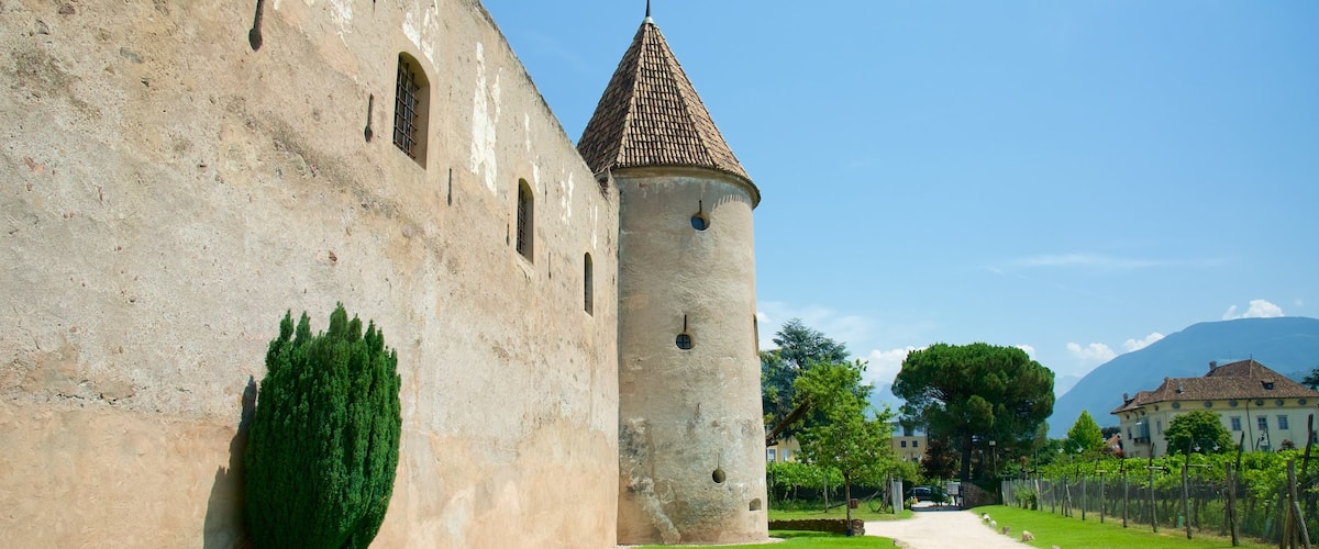 Castello di Maretsch mostrando castello o palazzo