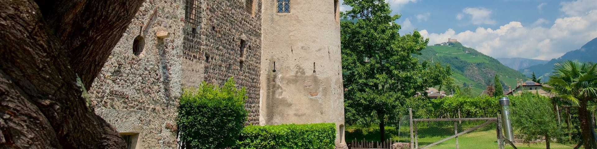 Maretsch Castle showing a castle