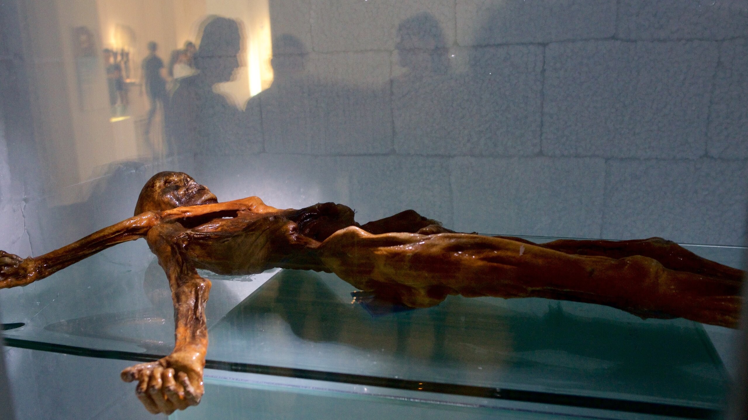 南チロル考古学博物館 ボルツァーノ エクスペディア