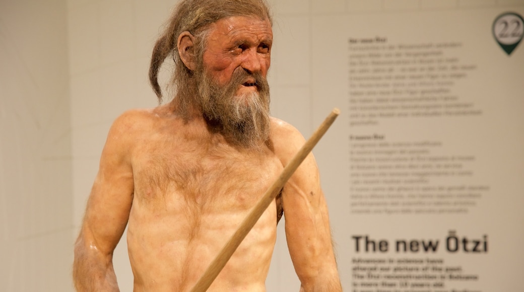 Museo Archeologico dell\'Alto Adige che include vista interna cosi come ragazzo