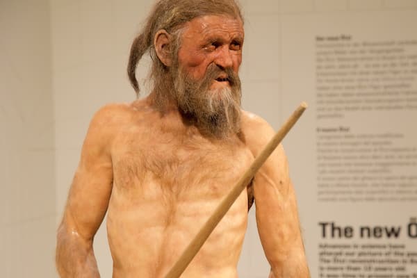 Musée archéologique du Haut-Adige mettant en vedette vues intérieures aussi bien que homme