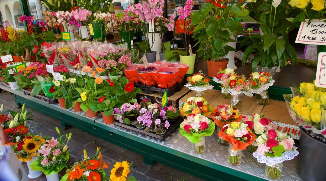 Bolzano caratteristiche di mercati e fiori