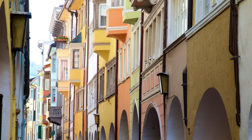 Bolzano featuring heritage architecture
