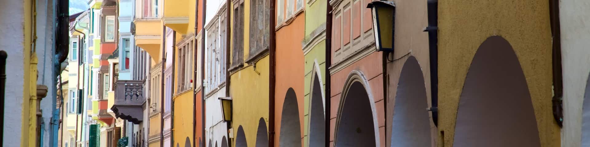 Bolzano showing heritage architecture