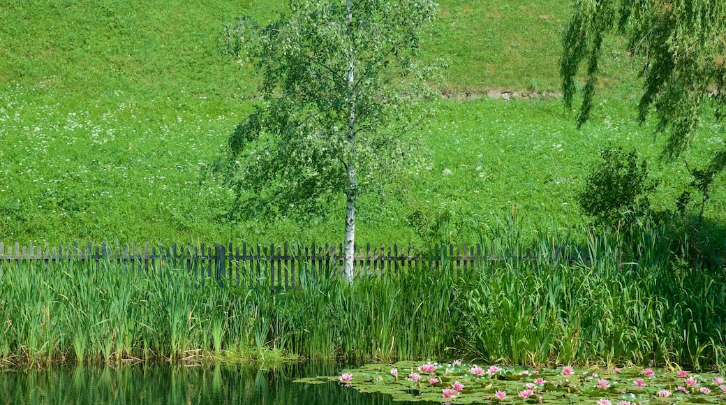 Ritten mit einem Teich