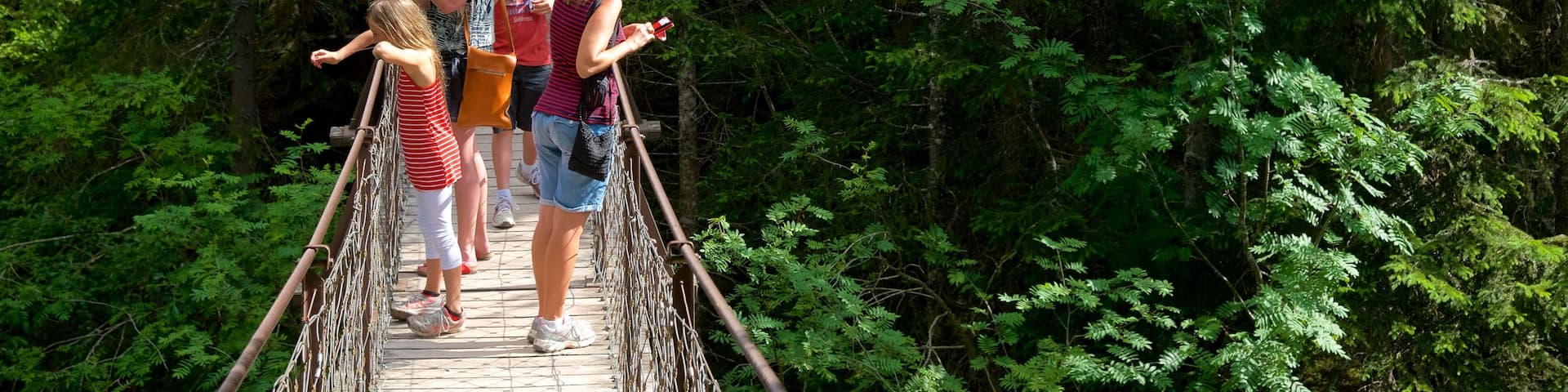 Trentino das einen Waldmotive und Brücke sowie kleine Menschengruppe