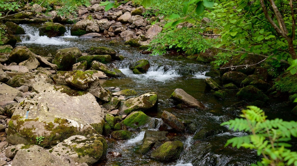 Trentino inclusief een rivier of beek