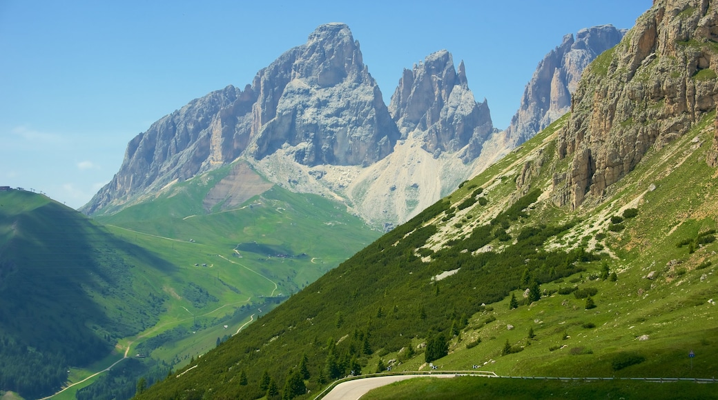 Trentino che include montagna