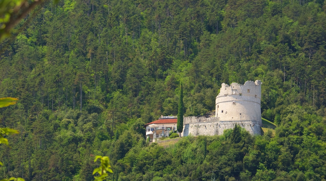 Trentino showing forest scenes and building ruins