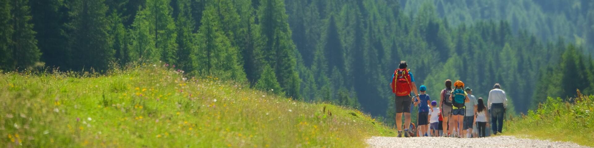 Trentino showing forests and hiking or walking as well as a small group of people