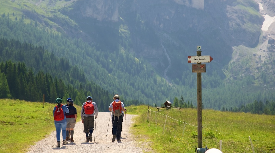 Trentino featuring signage and hiking or walking as well as a small group of people