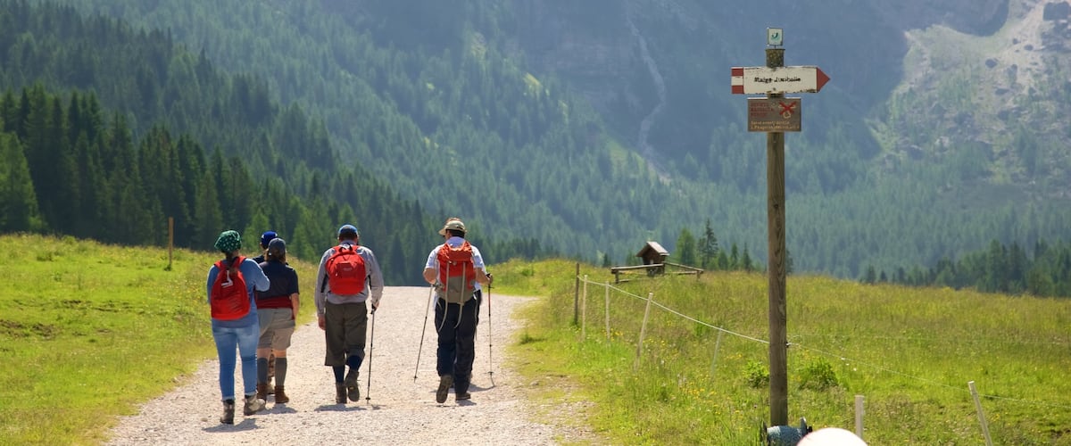 Trentino mostrando senderismo o caminata y señalización y también un pequeño grupo de personas