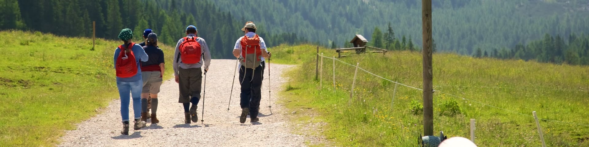 Trentino showing signage and hiking or walking as well as a small group of people