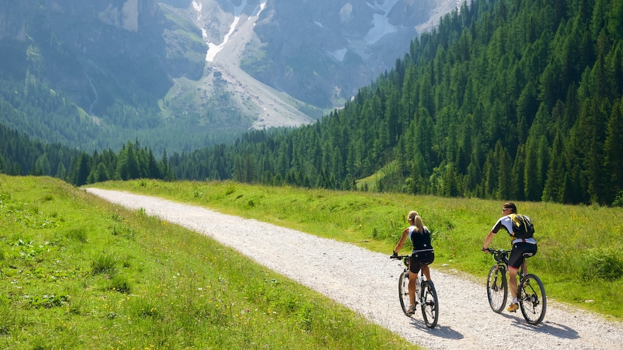 Trentino featuring mountain biking as well as a couple