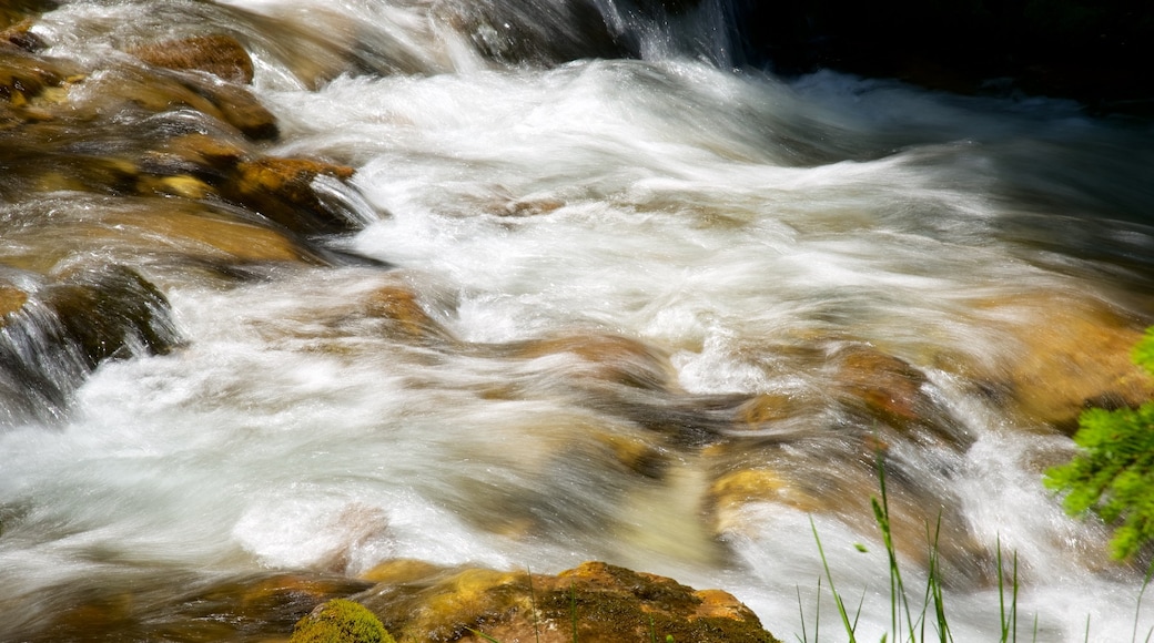 Trentino which includes rapids