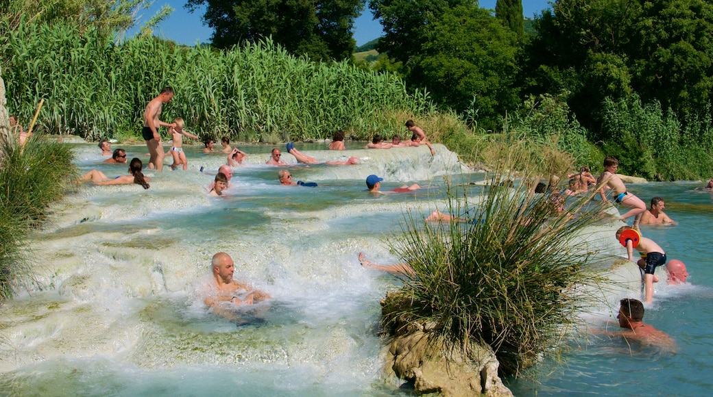 Grosseto mostrando nuoto e sorgente termale cosi come un grande gruppo di persone