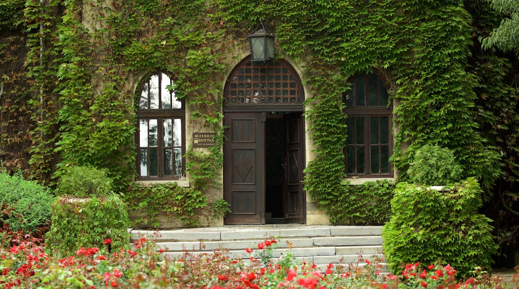 Belgrade Zoo showing flowers and a house