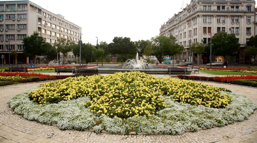 Belgrado ofreciendo flores, una fuente y patrimonio de arquitectura