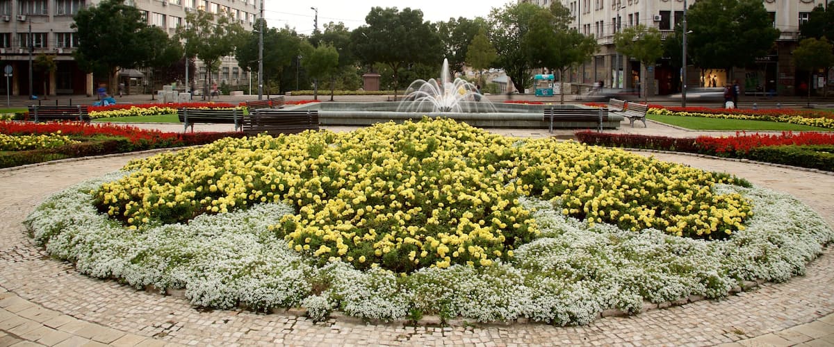 Belgrado ofreciendo flores, una fuente y patrimonio de arquitectura