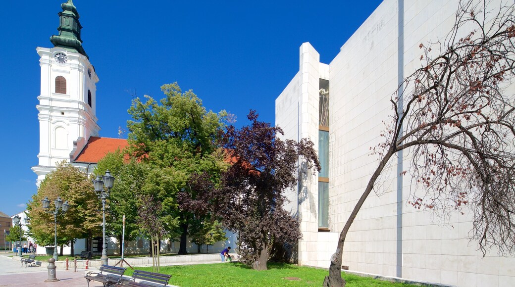 Teatro Nazionale della Serbia mostrando architettura d\'epoca, città e chiesa o cattedrale