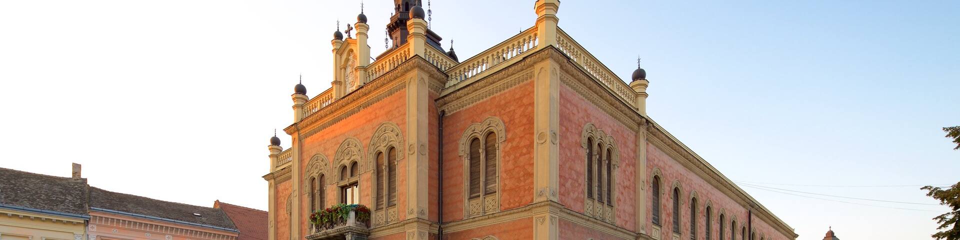 Novi Sad featuring a sunset, heritage architecture and a city