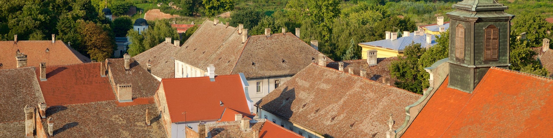 Novi Sad featuring a house and a city