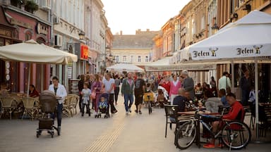 Novi Sad showing café scenes, outdoor eating and a city