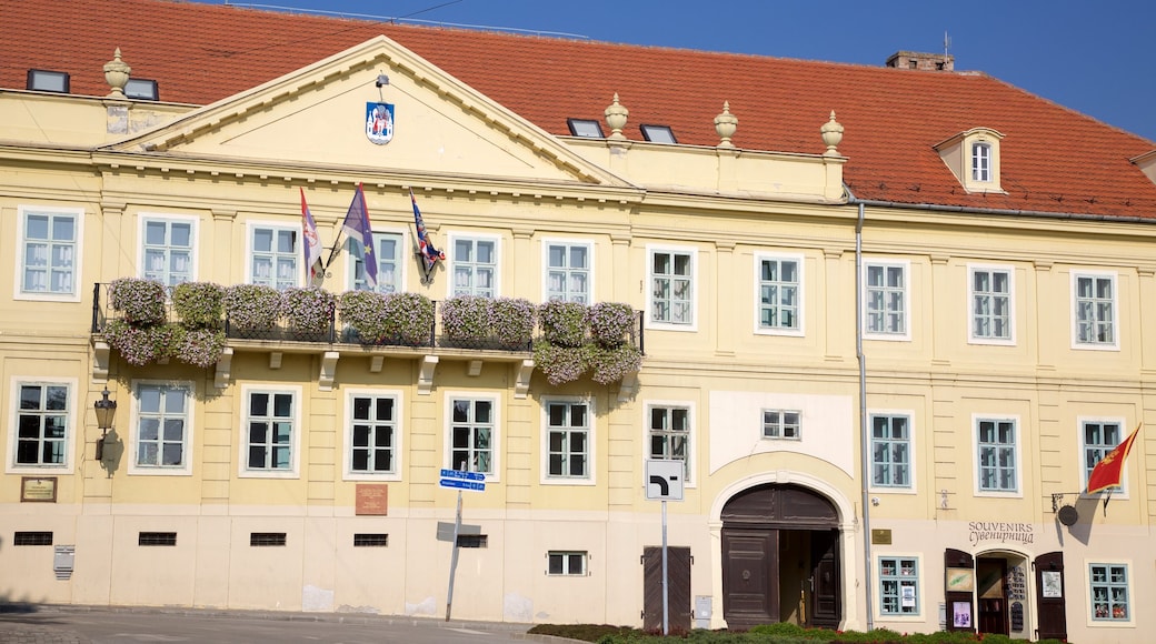 Sremski Karlovci showing a city and heritage architecture