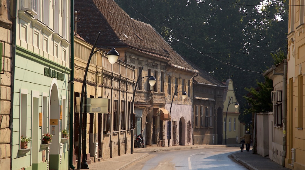 Sremski Karlovci showing street scenes