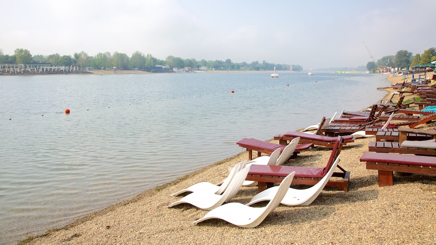 Ada Ciganlija som inkluderar kustutsikter och en strand