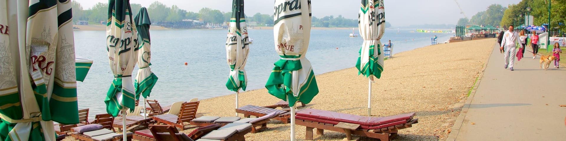 Ada Ciganlija showing a sandy beach as well as a small group of people