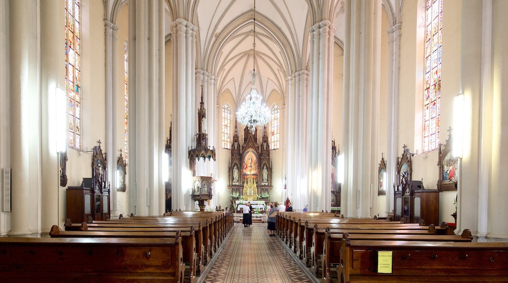 Church of the Virgin Mary toont een kerk of kathedraal en interieur