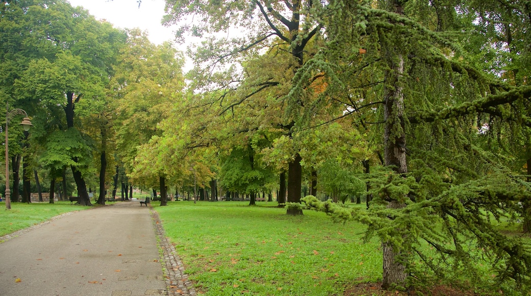 Kalemegdan Park som visar en trädgård