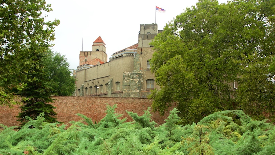 Kalemegdan Park som visar chateau eller palats och en park