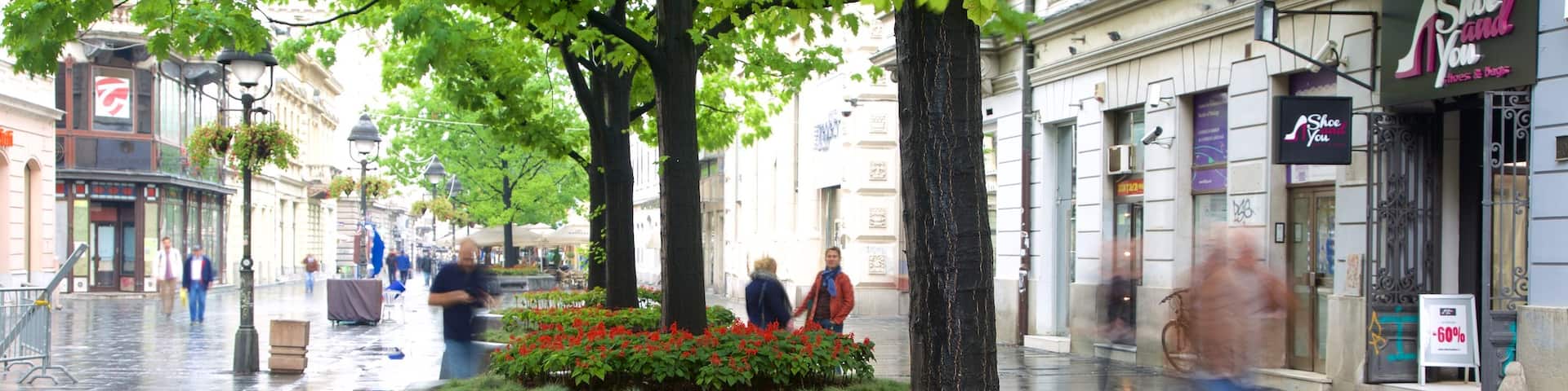 Knez Mihailova Street mit einem Stadt und Straßenszenen