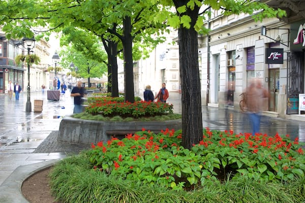 Knez Mihailova-gatan presenterar en stad och gatuliv