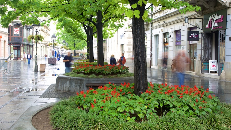 Knez Mihailova-gatan presenterar en stad och gatuliv