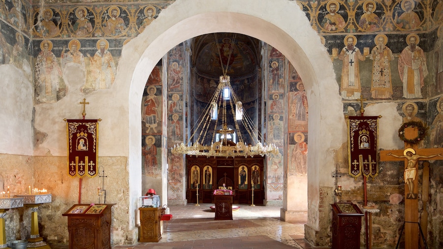 Novi Sad which includes a church or cathedral, heritage elements and interior views