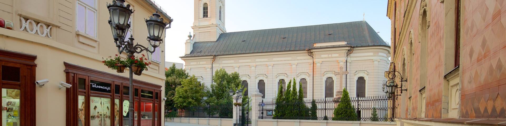 Novi Sad featuring heritage architecture and a church or cathedral