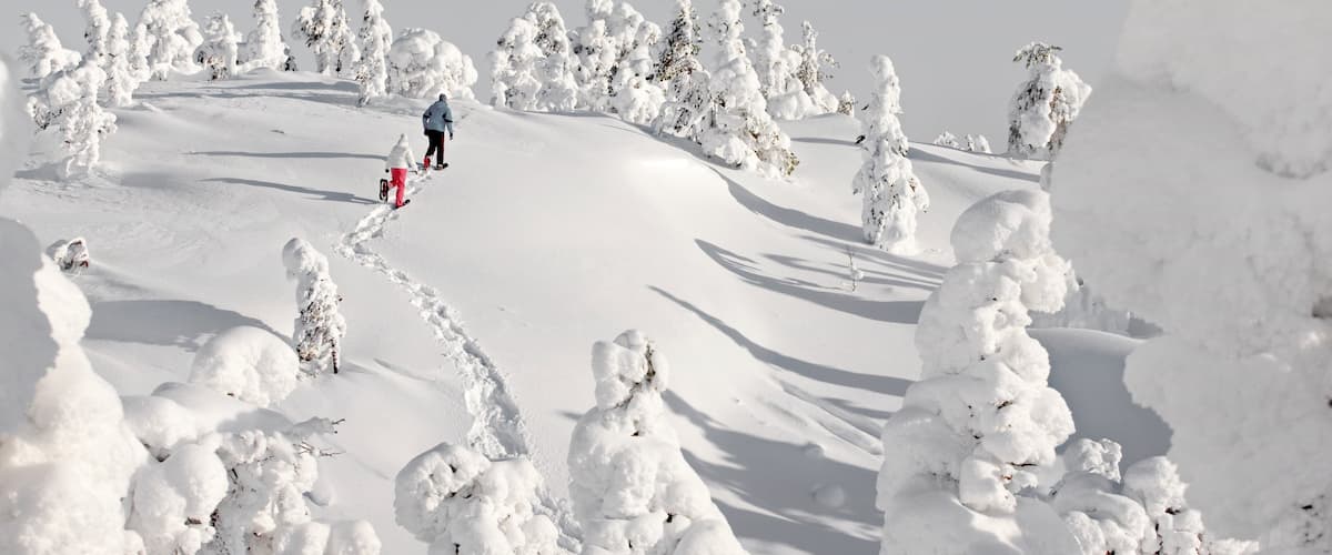 Ruka Ski Area featuring snow, hiking or walking and snow shoeing
