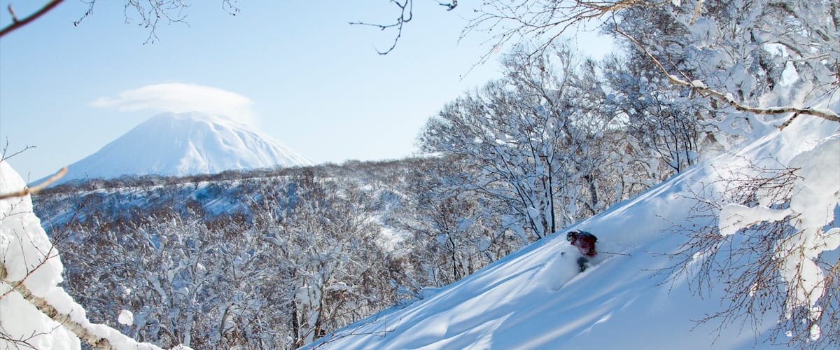 Niseko ofreciendo montañas, esquiar en la nieve y nieve