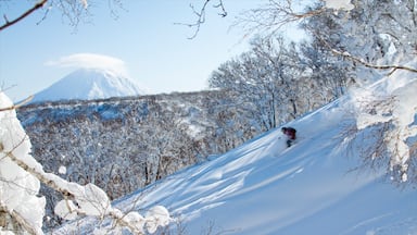 Niseko showing snow, mountains and snow skiing